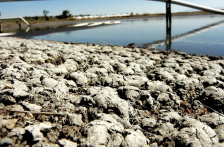 Veracruz – Clausuran 1 de las 51 plantas de Granjas Carroll en Veracruz tras acusación por contaminar el agua (El Financiero)